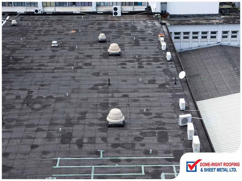 The Most Common Commercial Roof Problems and How to Fix Them